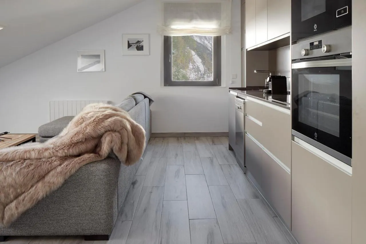 Апартаменты Irissa By Feelfree Rentals Naut Aran Испания
